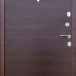 product-metallicheskaia-dver-dlia-dachi-no1-c56209a11a8b.webp