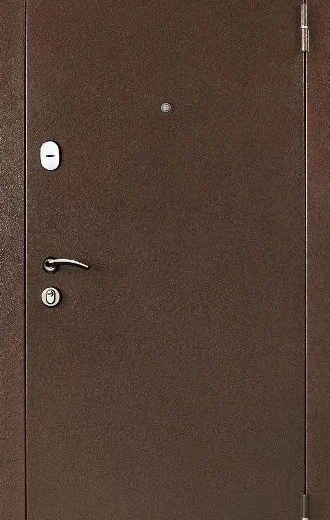 product-metallicheskaia-dver-dlia-dachi-no10-df3f26506838.webp