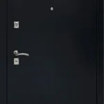 product-metallicheskaia-dver-dlia-dachi-no17-18b7380fecb9.webp