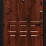 product-metallicheskaia-dver-dlia-dachi-no20-329e3655b3de.webp