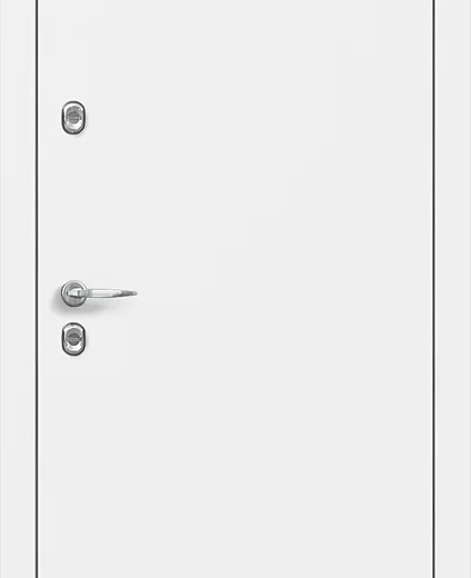 product-metallicheskaia-dver-dlia-dachi-no20-461503a73fd0.webp