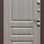product-metallicheskaia-dver-dlia-dachi-no24-4a6ddb9c40f5.webp