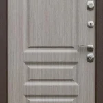 product-metallicheskaia-dver-dlia-dachi-no24-bf726c209b67.webp