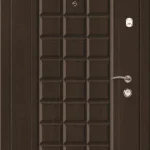 product-metallicheskaia-dver-dlia-dachi-no27-44c70e8928f7.webp