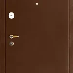 product-metallicheskaia-dver-dlia-dachi-no29-8714207c8c31.webp
