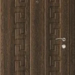 product-metallicheskaia-dver-dlia-dachi-no30-013e5df0cd33.webp