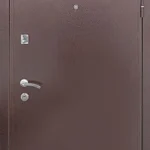 product-metallicheskaia-dver-dlia-dachi-no5-1074a7f19062.webp