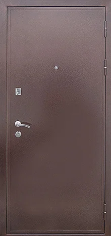 product-metallicheskaia-dver-dlia-dachi-no5-aca1d39233d9.webp