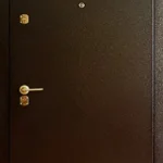 product-metallicheskaia-dver-dlia-dachi-no6-2b537948b987.webp