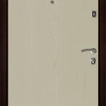product-metallicheskaia-dver-dlia-dachi-no6-650e250bd9c5.webp