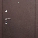 product-metallicheskaia-dver-dlia-dachi-no7-e30867c39f44.webp