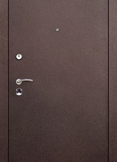 product-metallicheskaia-dver-dlia-dachi-no7-e30867c39f44.webp