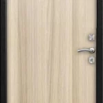 product-metallicheskaia-dver-laminat-no36-4b60de5ffc1e.webp