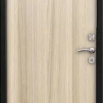 product-metallicheskaia-dver-laminat-no36-eb9ff5a18e54.webp