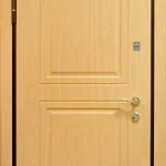 product-metallicheskaia-dver-laminat-no7-6e41bd49ccf8.webp