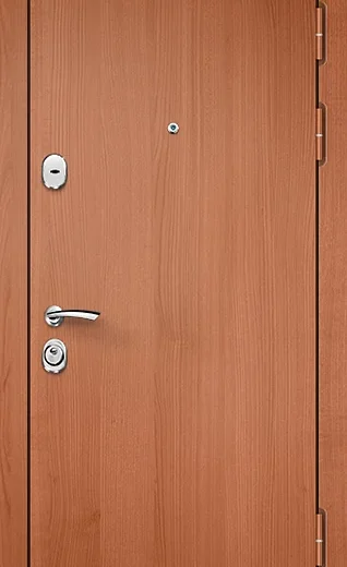 product-metallicheskaia-dver-laminat-no77-18f167b934bf.webp