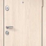 product-metallicheskaia-dver-laminat-no79-a53b6ed7f414.webp