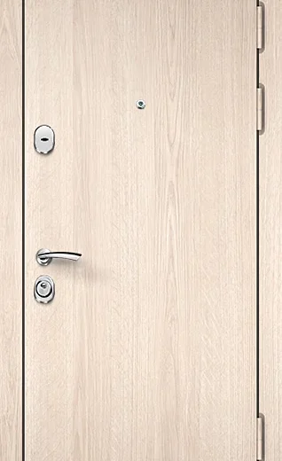 product-metallicheskaia-dver-laminat-no79-a786235e7ea7.webp