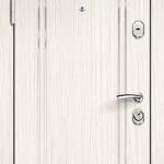 product-metallicheskaia-dver-poroshok-no101-4ff35758759b.webp
