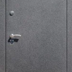 product-metallicheskaia-dver-poroshok-no15-f63d1cb64080.webp
