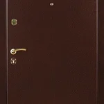 product-metallicheskaia-dver-poroshok-no16-be4e7c4aff8a.webp