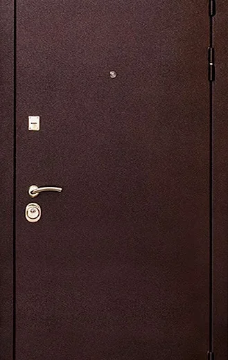 product-metallicheskaia-dver-poroshok-no53-984040e5b084.webp