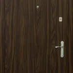 product-metallicheskaia-dver-poroshok-no53-f44be5d6a391.webp