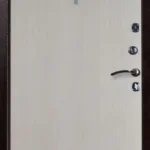 product-metallicheskaia-dver-poroshok-no57-7dfbdfe4bd10.webp