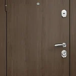 product-metallicheskaia-dver-poroshok-no62-c4f23f6867e9.webp