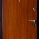 product-metallicheskaia-dver-s-kovkoi-no3-c2ae936be8f5.webp