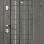 product-metallicheskaia-dver-s-mdf-no151-e4f0f13732ee.webp