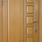 product-metallicheskaia-dver-s-mdf-no189-a2d688cc8361.webp