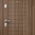 product-metallicheskaia-dver-s-mdf-no192-f8e6fc41387f.webp