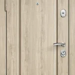product-metallicheskaia-dver-s-mdf-no197-44610c1e4a39.webp