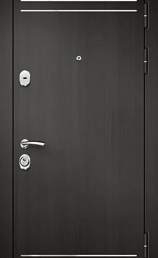 product-metallicheskaia-dver-s-mdf-no349-ed513fdf336f.webp