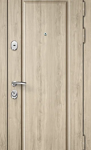 product-metallicheskaia-dver-s-zerkalom-no3-b7b2c4894168.webp