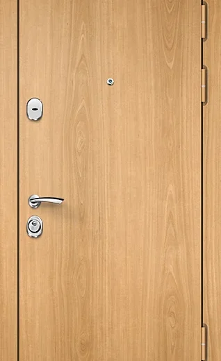 product-metallicheskaia-dver-s-zerkalom-no4-53edde299ec0.webp