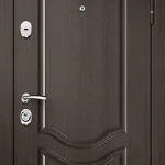 product-metallicheskaia-dver-s-zerkalom-no5-eff38c02e94f.webp