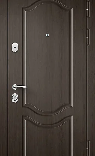 product-metallicheskaia-dver-s-zerkalom-no5-eff38c02e94f.webp