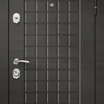 product-metallicheskaia-dver-s-zerkalom-no51-6f38d7f34f30.webp