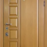 product-metallicheskaia-dver-s-zerkalom-no57-57d6e85c5f91.webp