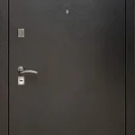 product-metallicheskaia-dver-s-zerkalom-no70-7f0367366331.webp