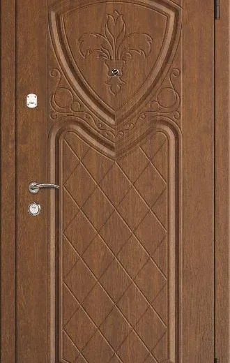 product-metallicheskaia-dver-v-dom-no11-cf984619557c.webp
