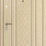product-metallicheskaia-dver-v-dom-no12-2709a1ffe8ae.webp
