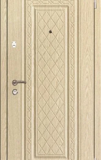 product-metallicheskaia-dver-v-dom-no12-2709a1ffe8ae.webp