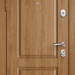 product-metallicheskaia-dver-v-dom-no12-9cb8c413121a.webp