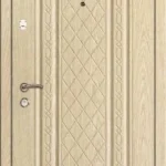 product-metallicheskaia-dver-v-dom-no12-a3ee884c8c81.webp