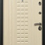 product-metallicheskaia-dver-v-dom-no18-17646a4d0630.webp