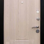 product-metallicheskaia-dver-v-dom-no20-4eed5b1eace9.webp
