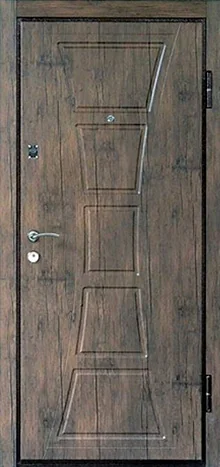 product-metallicheskaia-dver-v-dom-no25-d3923a38653e.webp